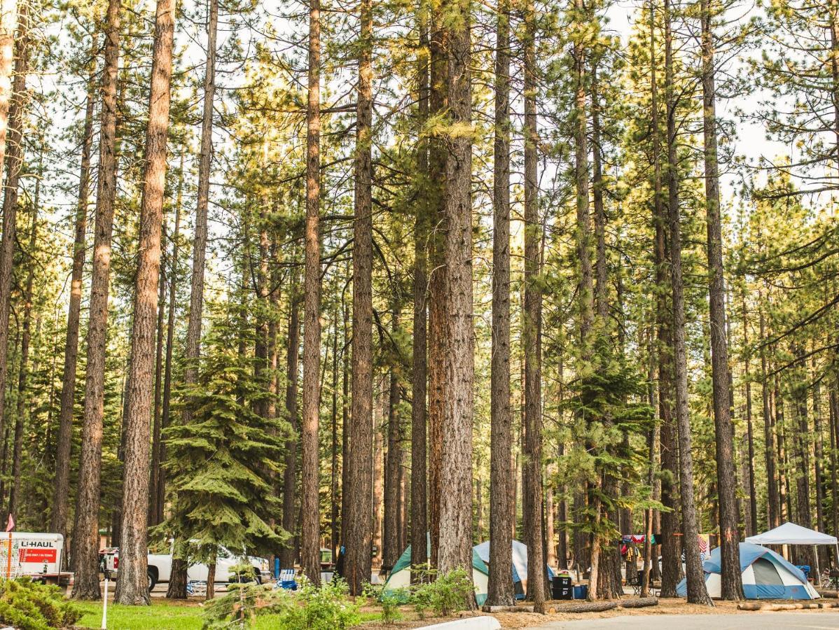 Tahoe Valley Cottage 2 South Lake Tahoe Exteriér fotografie